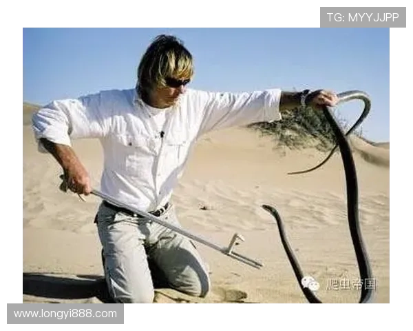 足球场上的疯狂传奇:那些让人瞠目结舌的明星故事与背后的黑暗面 足球场上的疯狂传奇:那些让人瞠目结舌的明星故事与背后的黑暗面