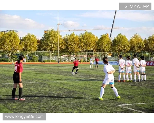 深入探讨上海足球队在比赛中的配合表现与数据分析结果